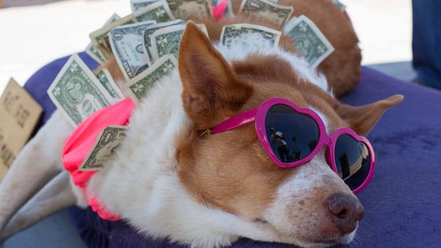 Financial Influencer Tips